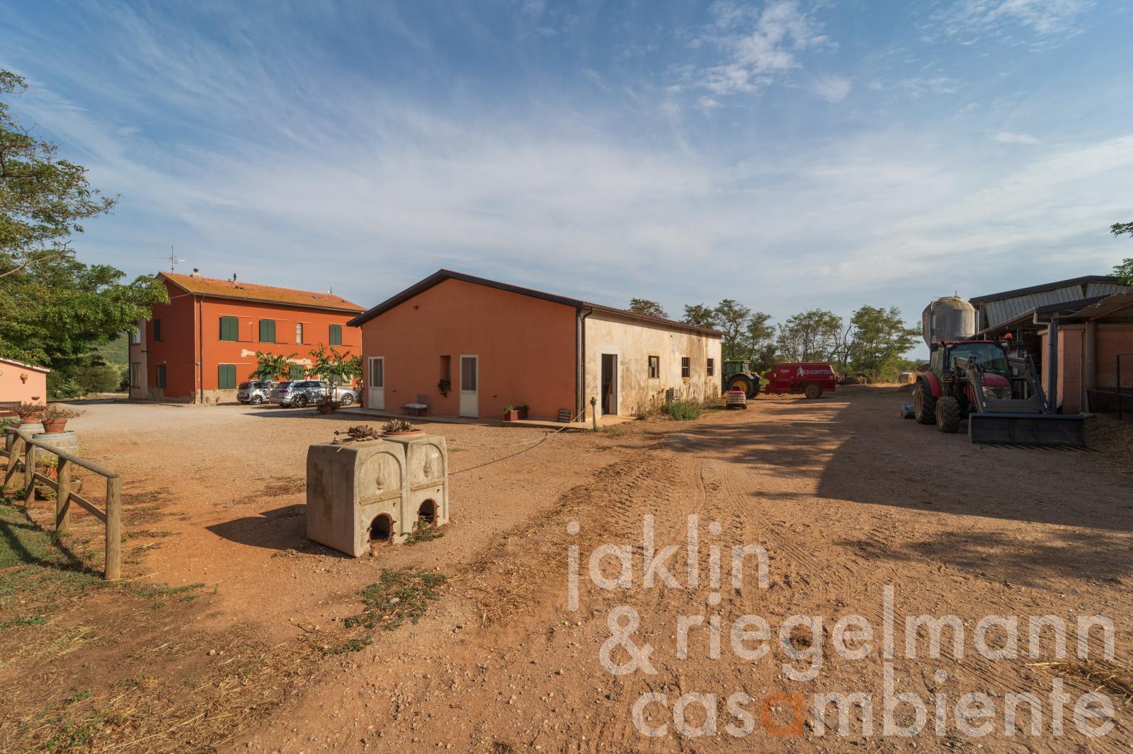 Organic farm with sheep breeding and cheese production 5 km from the sea