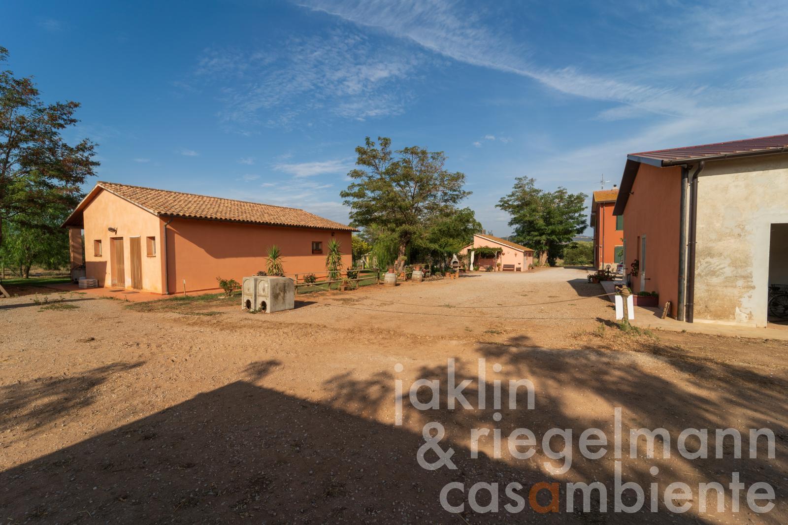 Organic farm with sheep breeding and cheese production 5 km from the sea