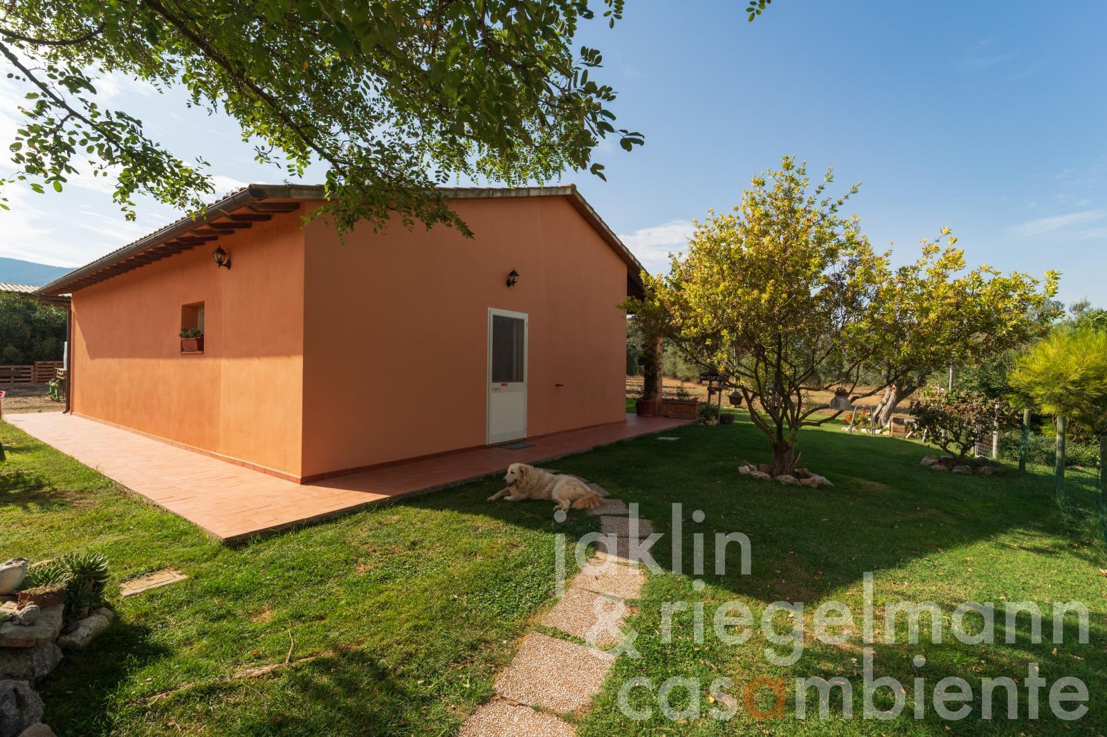 Organic farm with sheep breeding and cheese production 5 km from the sea
