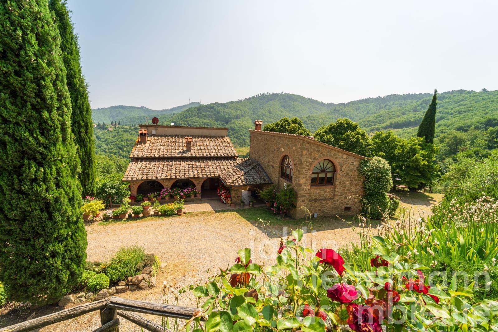 Country house in Chianti with annex, pool and 30 ha of land