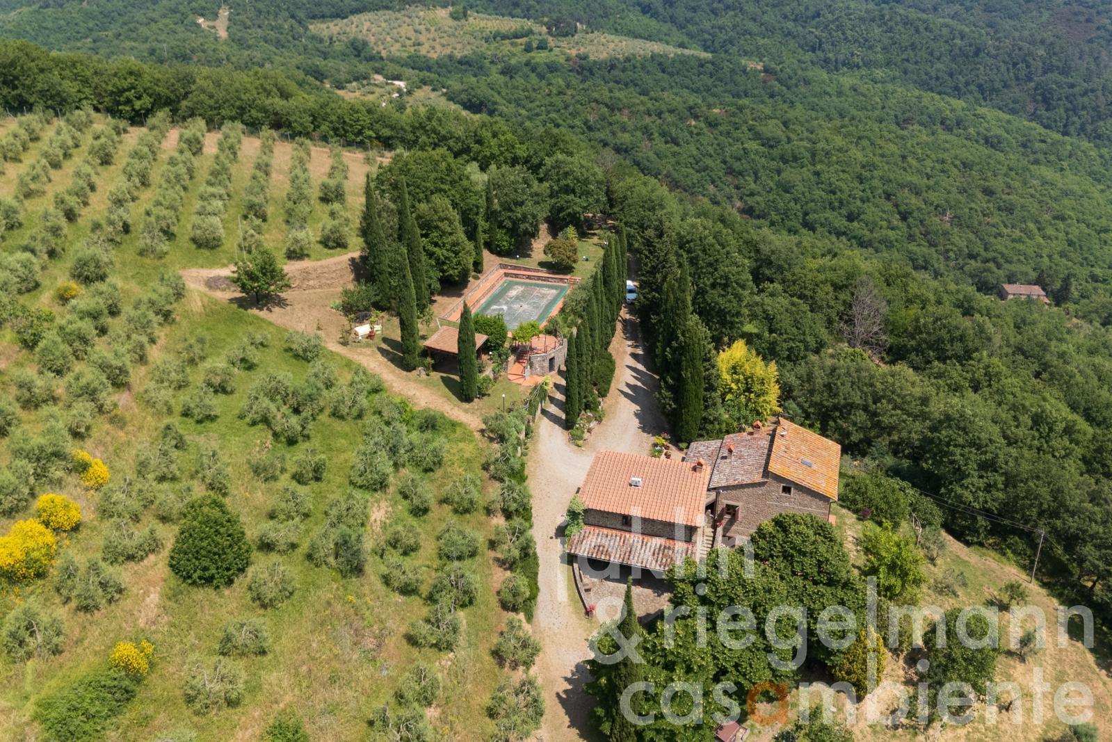 Country house in Chianti with annex, pool and 30 ha of land