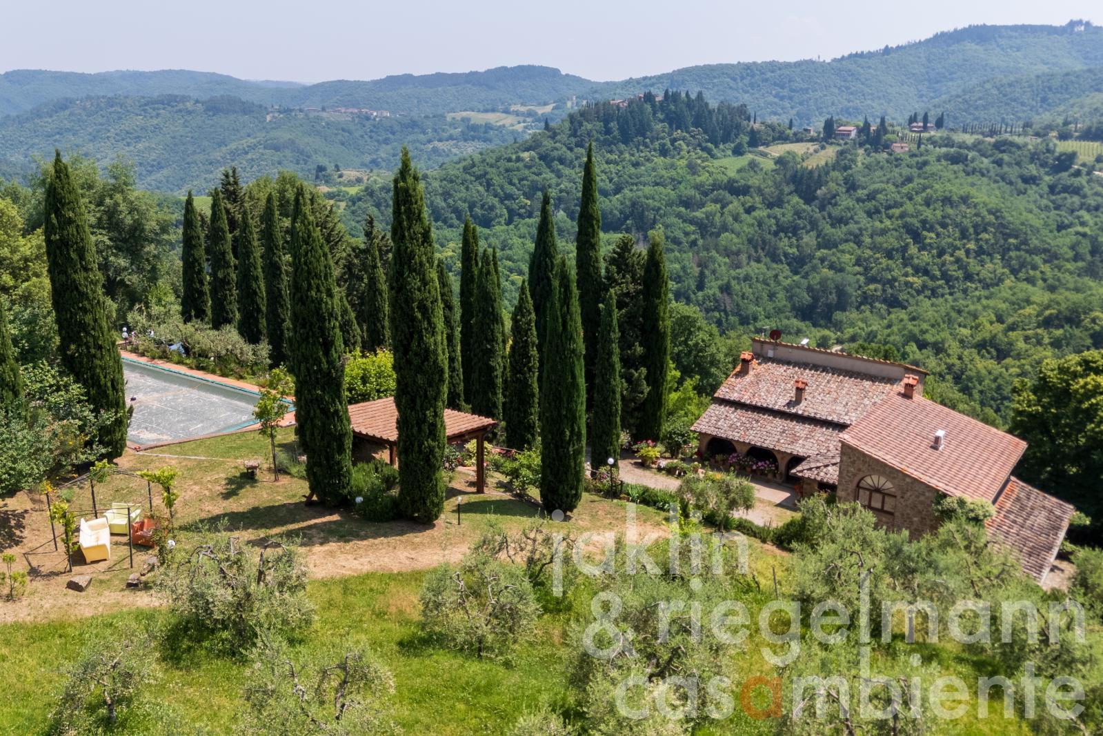 Country house in Chianti with annex, pool and 30 ha of land