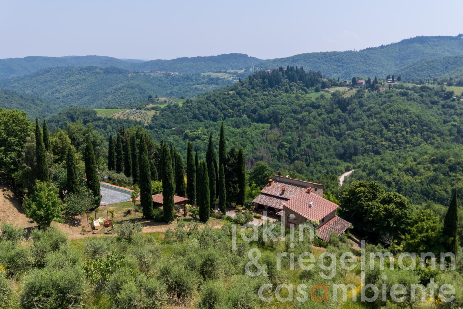Country house in Chianti with annex, pool and 30 ha of land
