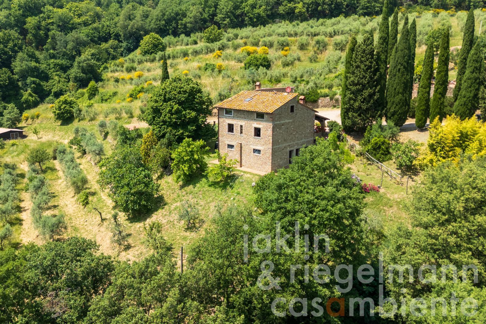 Country house in Chianti with annex, pool and 30 ha of land