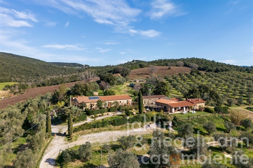 Experience Tuscany - Agriturismo with wine production near Massa Marittima
