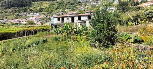 Home / Villa with 6 Rooms in Madeira with 195,00 m²