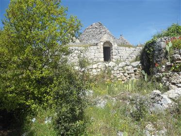 Trullo With Three Hectares Of Building Land