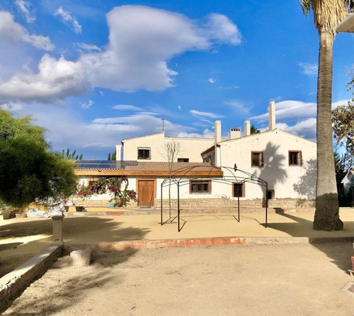 En Muchamiel, justo en las afueras de Alicante, se encuentra esta finca única que consta de dos casa