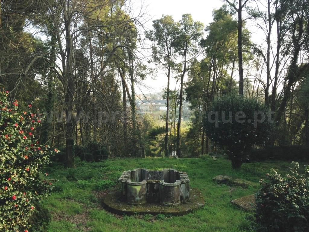 Boerderij Te Koop Santo Tirso