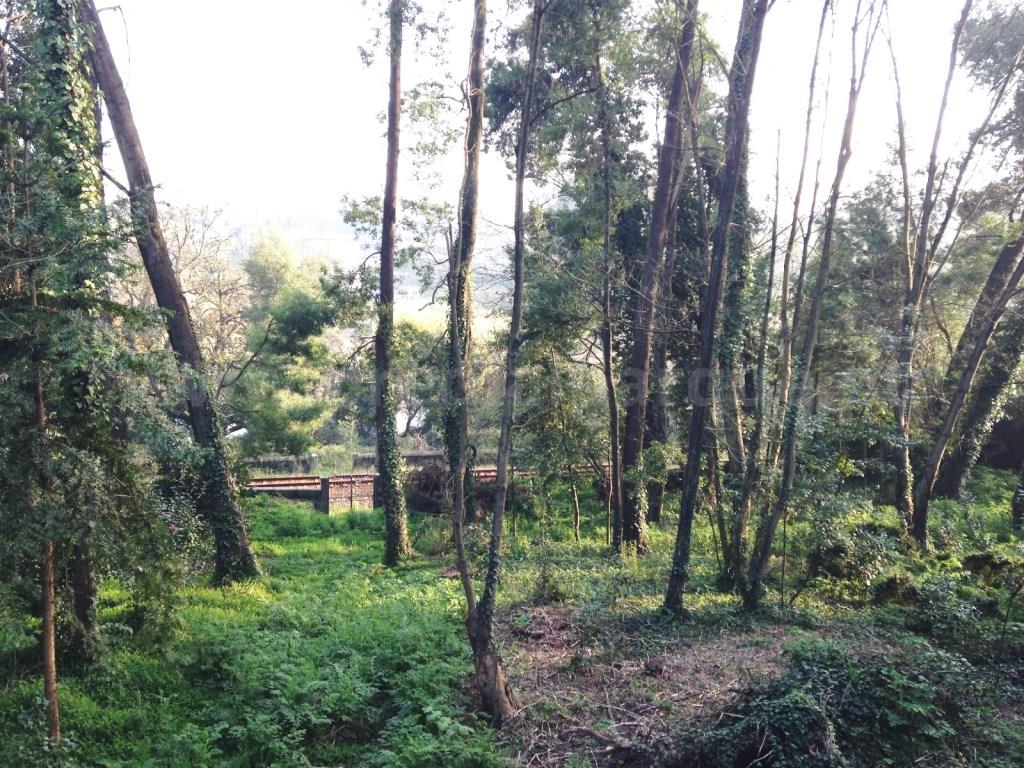 Boerderij Te Koop Santo Tirso