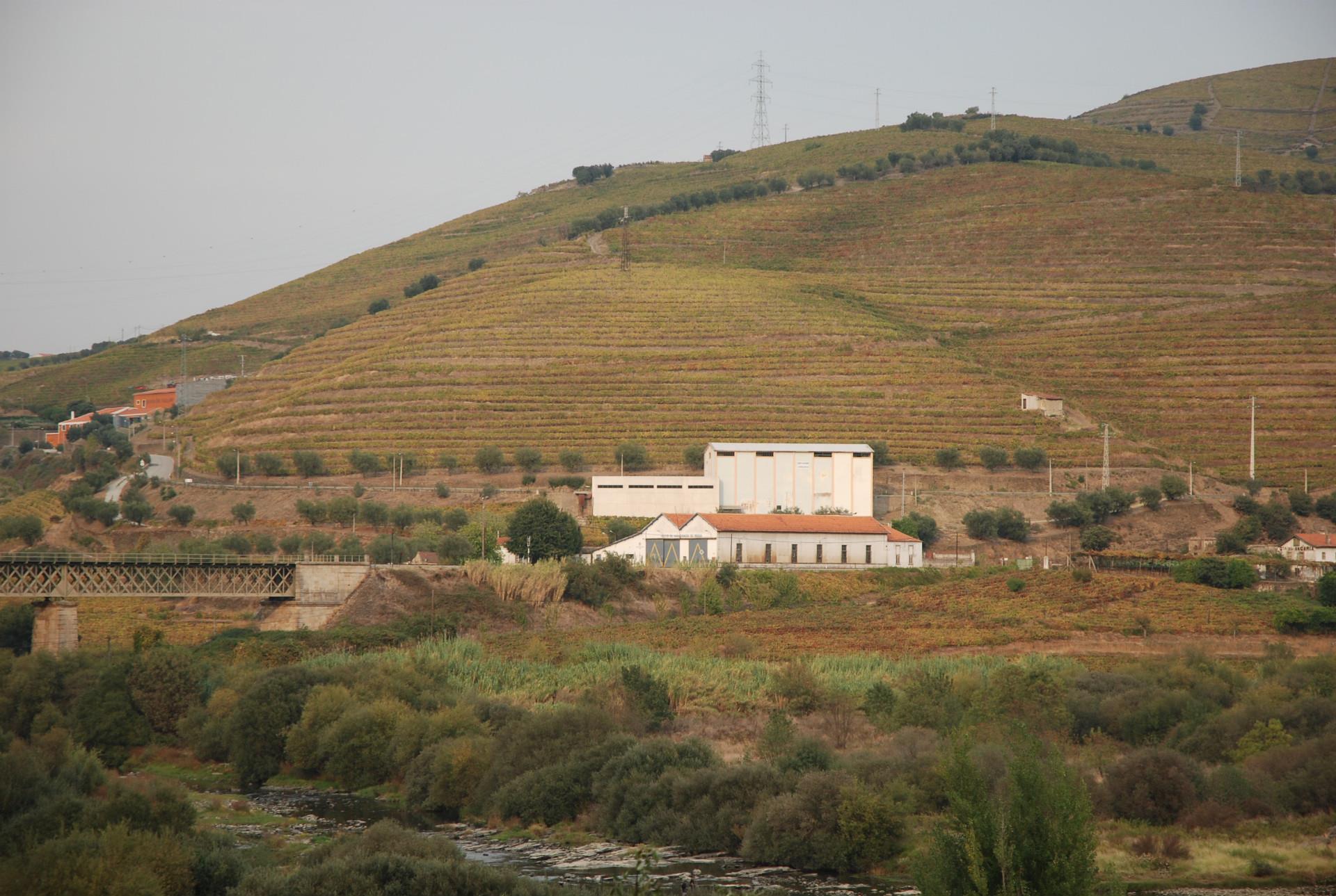 Finca 5 habitaciones Venta em Poiares e Canelas,Peso da Régua