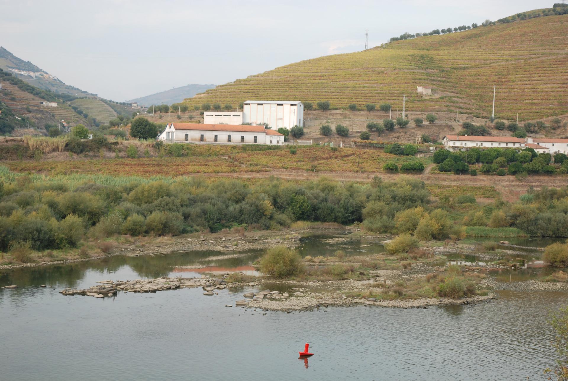 Finca 5 habitaciones Venta em Poiares e Canelas,Peso da Régua
