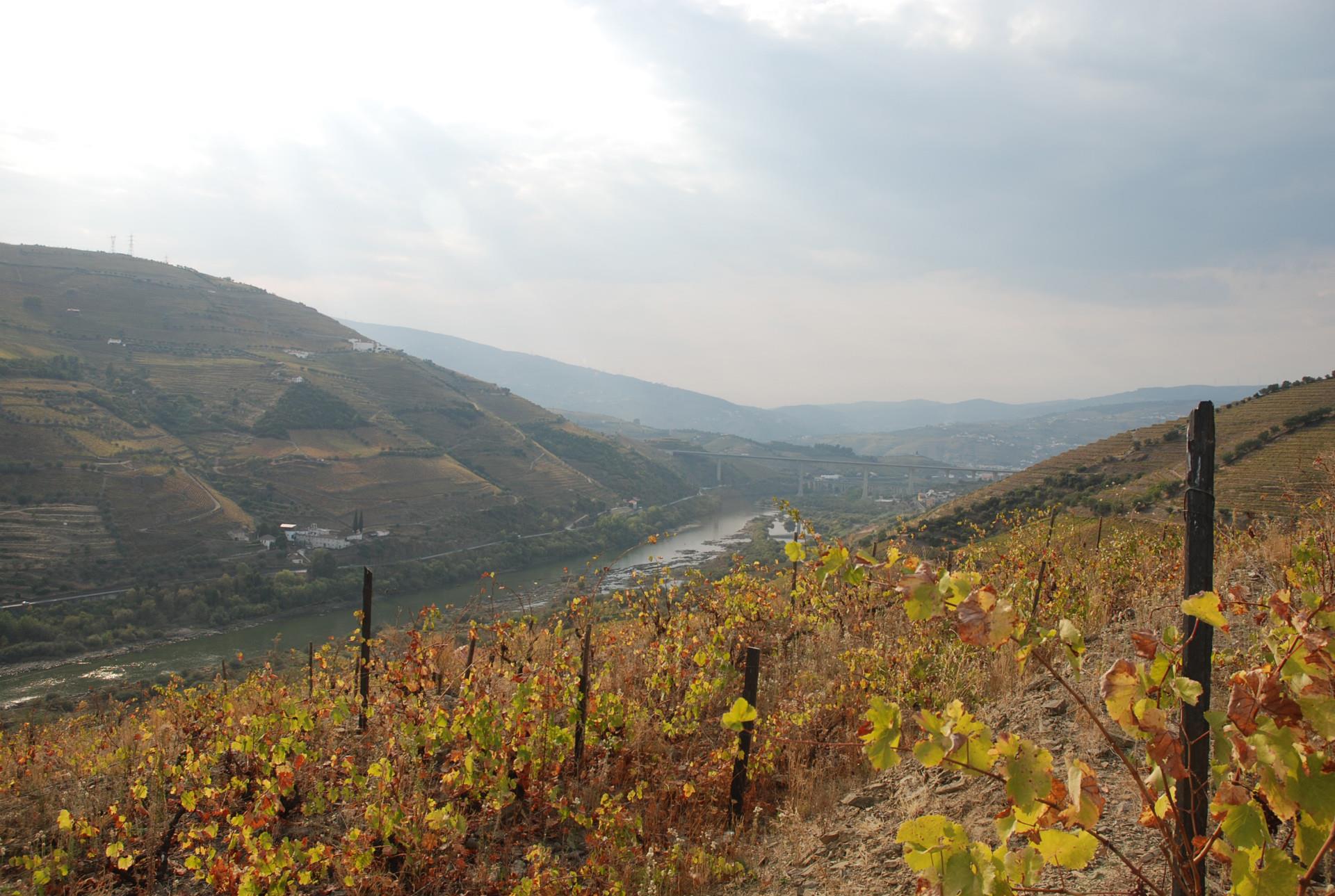 Finca 5 habitaciones Venta em Poiares e Canelas,Peso da Régua