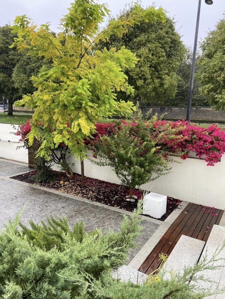 Villa mit 4 Appartements + Büro und Pool - Av.Marechal Gomes da Costa