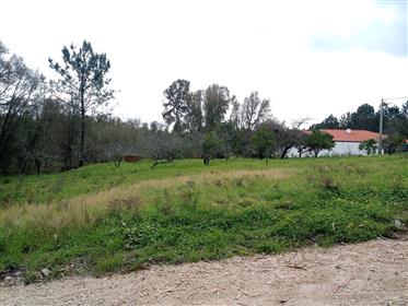 Urbanized land in Ferraria, Pataias.