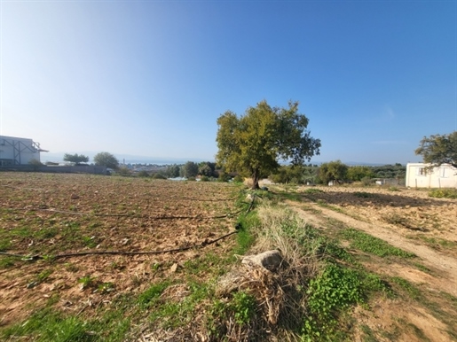 Agricultural, 5000 sq, for sale