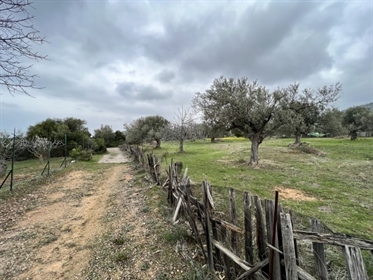 Agricultural, 5500 sq, for sale