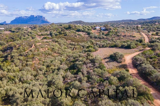 Agricultural Land 8282 m2 in Olbia