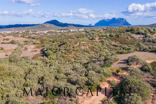 Agricultural Land 8282 m2 in Olbia