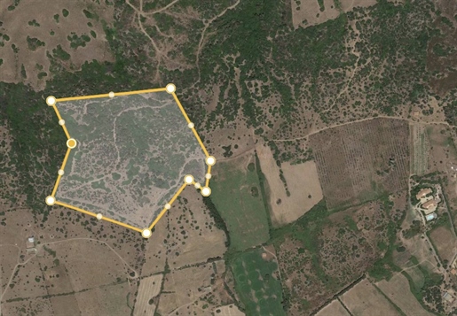 Agricultural Land 100000 m2 in Posada