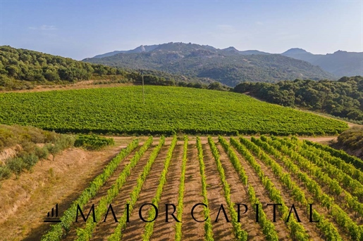 Agricultural Land 250000 m2 in Sant'Antonio di Gallura