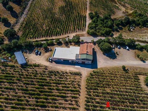 Farm 200000 m2 in Olbia