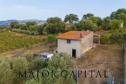 Maison individuelle de 150 m2 à Berchidda