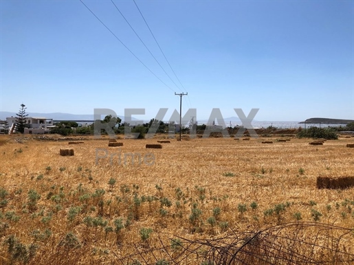For Sale plot of Land at Chrysi Akti || Cyclades / Paros - 17.120 Sq.m, 900.000€