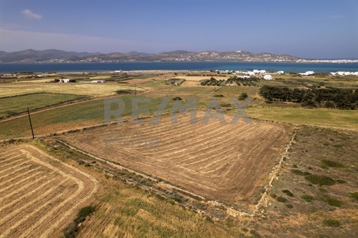 548562 - Lanf for sale in Kampos of Paros with sea view, 5.647 sq.m., €210.000