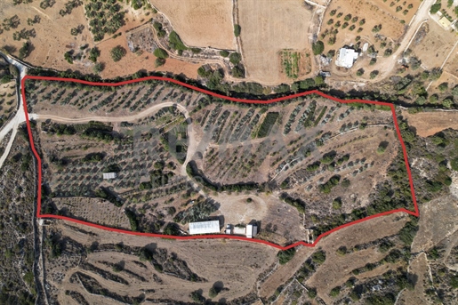395121 - Terrain à usage commercial, À vendre, Paros, 22 595 m², 800 000 €
