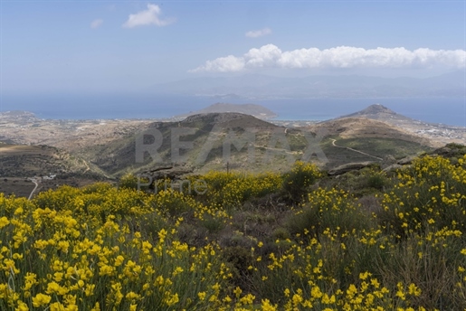 Terrain à vendre à Lefkes avec vue panoramique sur la mer || Cyclades / Paros - 10.137 m²,