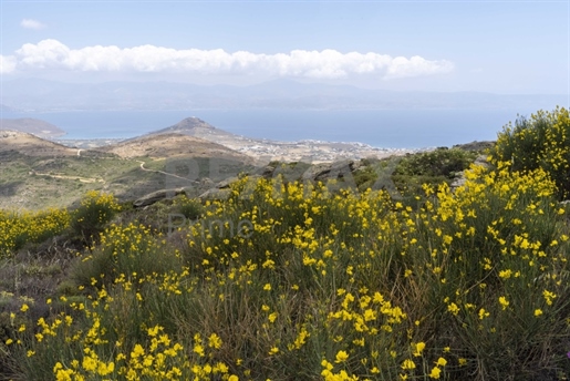 Terrain à vendre à Lefkes avec vue panoramique sur la mer || Cyclades / Paros - 10.137 m²,