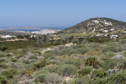 834421 - Te Koop Grond met uitzicht op de baai van Naoussa, Cycladen, Paros - 10.100 m² € 430,0
