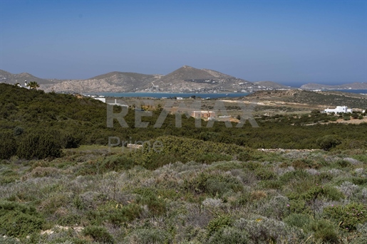 834421 - Vente Terrain avec vue sur la baie de Naoussa, Cyclades, Paros - 10 100 m² 430,0 €