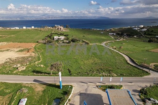 419977 -Vente Terrain à Mesada, Marpissa, Cyclades, Paros, 8 526 m², 315 000 €