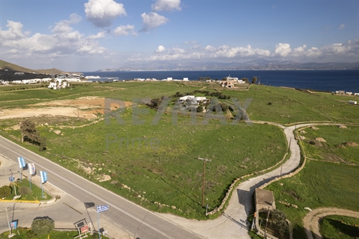 419977 -Vente Terrain à Mesada, Marpissa, Cyclades, Paros, 8 526 m², 315 000 €
