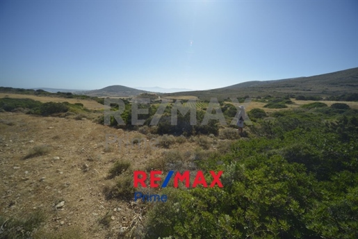 Land For Sale at Agios Andreas of Naousa || Cyclades/Paros - 42.000 Sq.m, 1.200.000€
