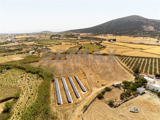 Land for sale near Parikia - Naousa Provincial Road || Cyclades / Paros - 26.579 sq.m. 250.000€