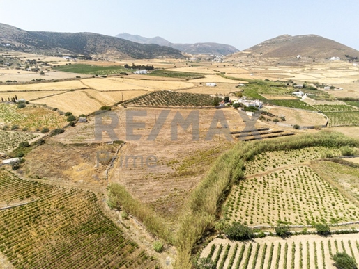 Land for sale near Parikia - Naousa Provincial Road || Cyclades / Paros - 26.579 sq.m. 250.000€
