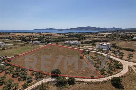 252597 - Rustig, gunstig perceel landbouwgrond van 5.546,4 m² te koop, Akairia - Paros. Prijs: €215.