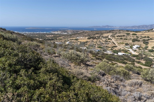 252657 - Vente Terrain avec vue imprenable à Kamari d’Agkairia, Cyclades, Paros - 10.52