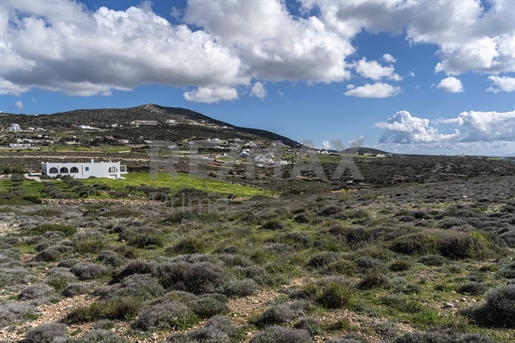 768323 - Land for Sale in Agia Irini Cyclades / Paros, 20.522,70 sq.m., €520.000