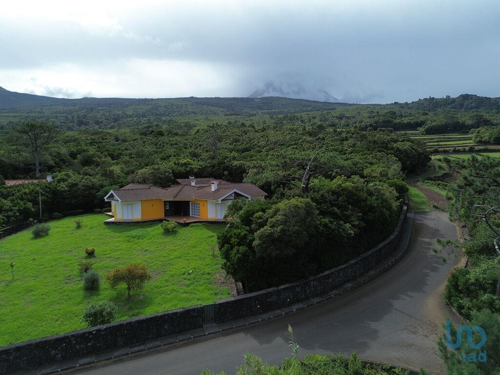 Ground in Santo António with 248,00 m²