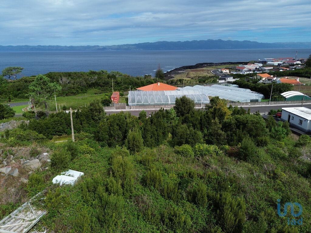 Ground in Santo António with 248,00 m²