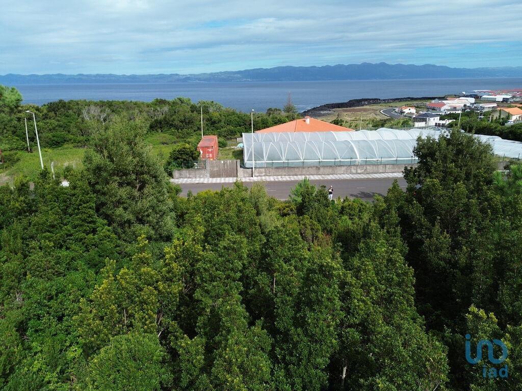 Ground in Santo António with 248,00 m²