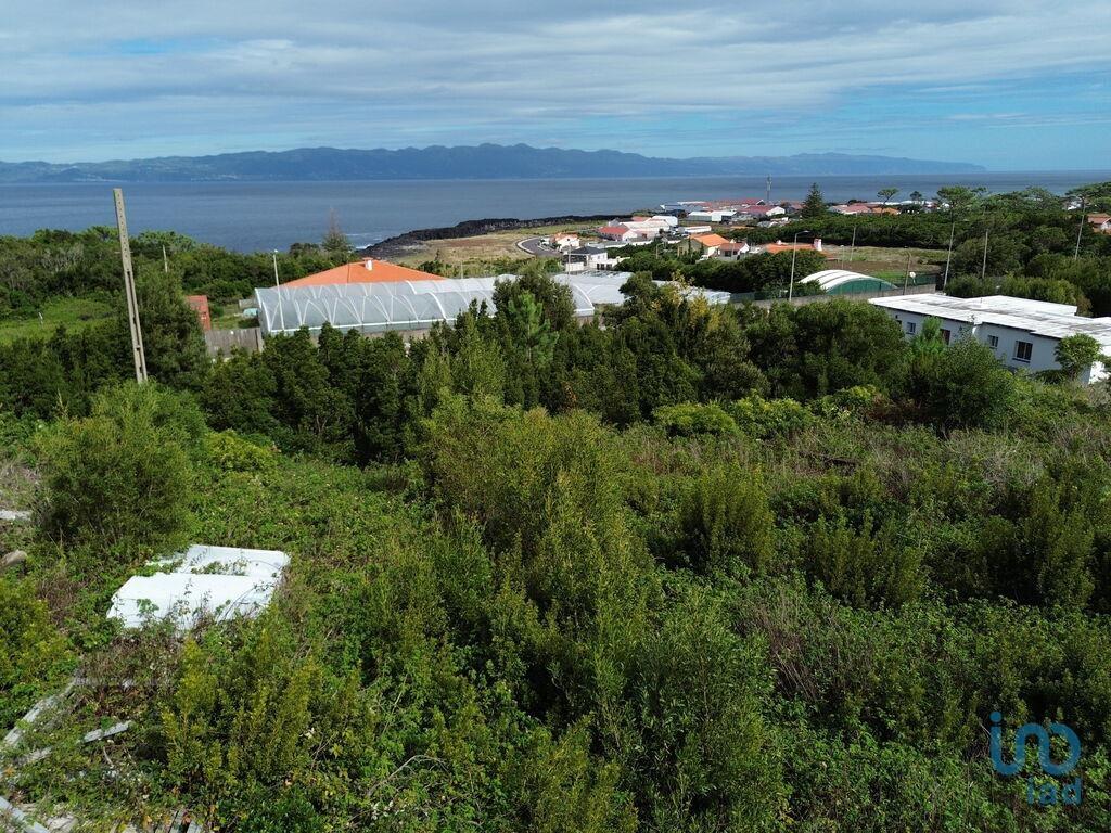 Ground in Santo António with 248,00 m²
