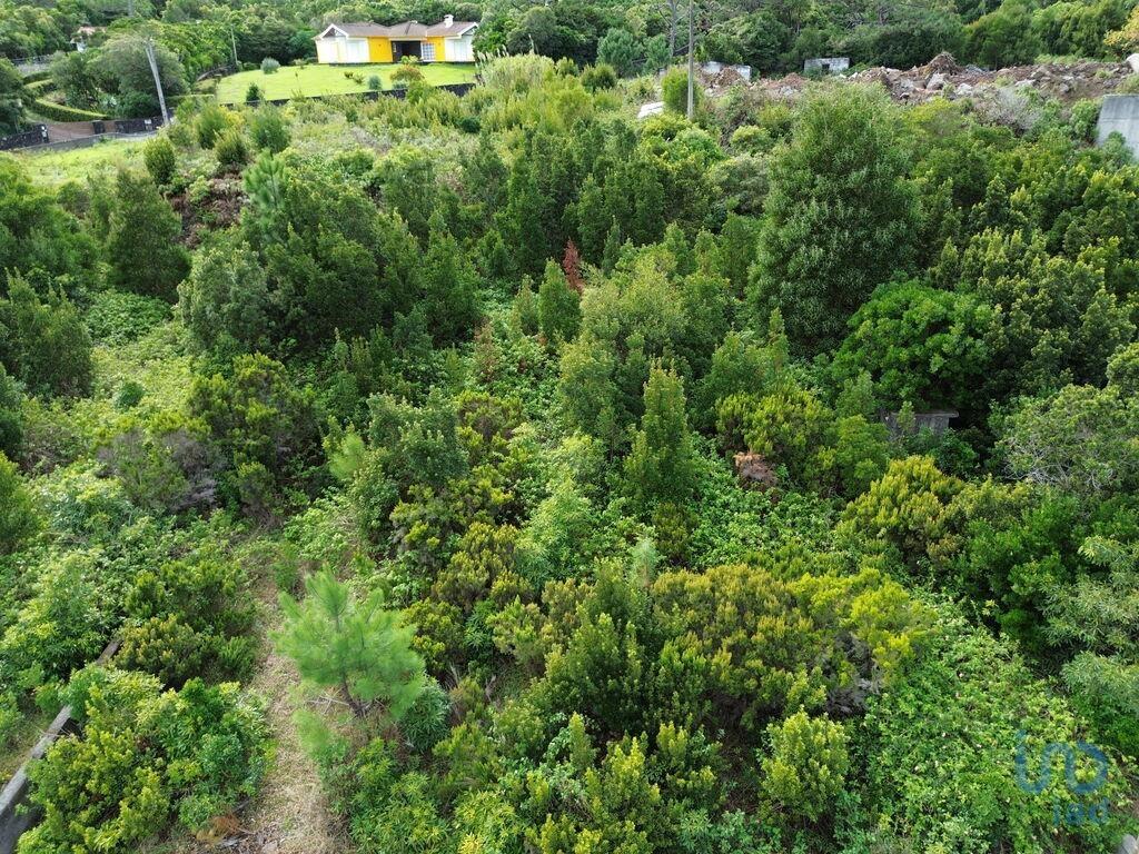Ground in Santo António with 248,00 m²