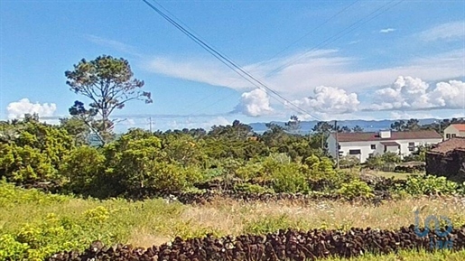 Tierra en el Açores, São Roque do Pico