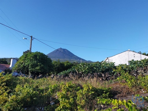Tierra en el Açores, São Roque do Pico