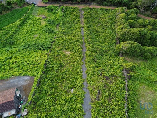 Terra a São Roque do Pico, Açores